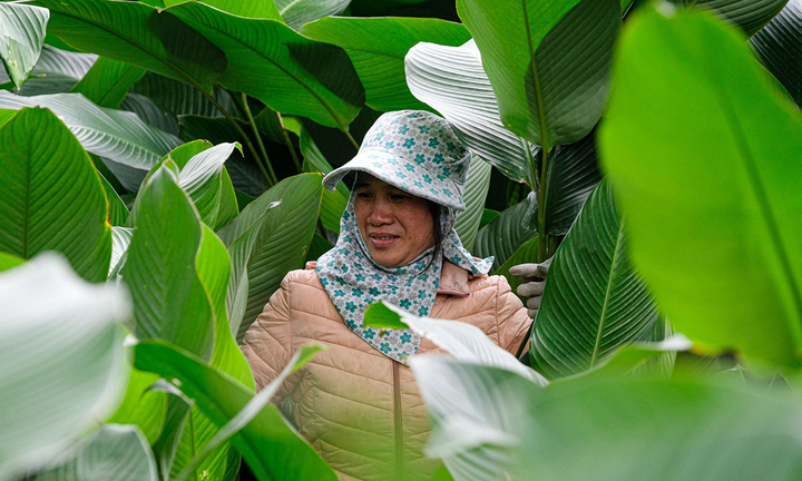 Dự báo thời tiết hôm nay ngày 19/1: Bắc Bộ tăng nhiệt, trưa chiều hửng nắng