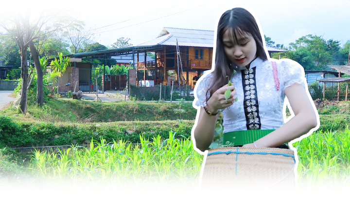 Lạc vào miền gái đẹp: Bí mật nhan sắc Mường Lò