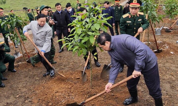 Thủ tướng kêu gọi Nhân dân tham gia trồng cây ngay từ những ngày đầu xuân