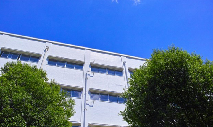 Thầy giáo bị đình chỉ công tác vì tát học sinh