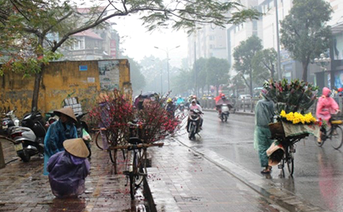 Thời tiết ngày 31/1: Bắc Bộ nắng hanh trước khi bước vào đợt mưa phùn kéo dài