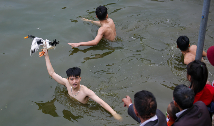 Hà Nội: Thanh niên đằm mình trong nước lạnh vây bắt vịt tại lễ hội xuân Lại Yên