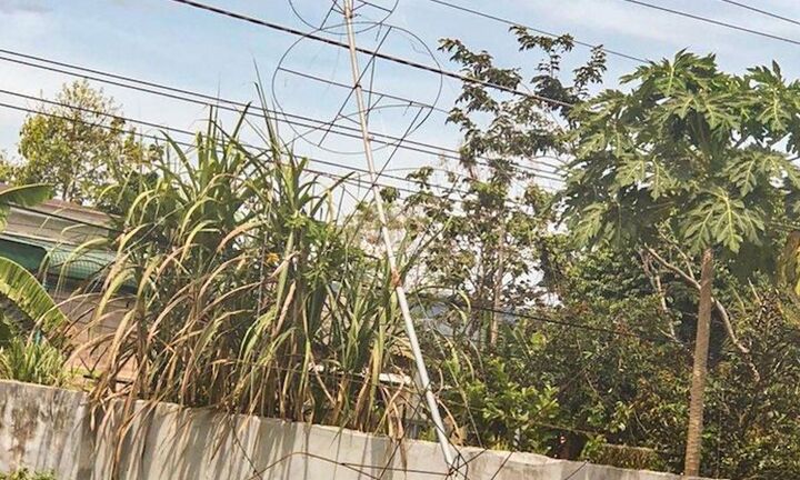 Tháo dỡ cây thông Noel, 6 người ở Lâm Đồng bị điện giật thương vong