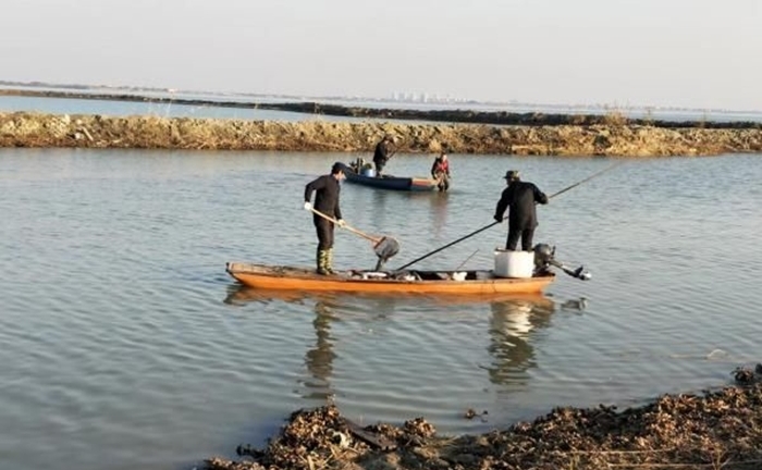 Mua hơn 12 tấn cá phóng sinh, cô gái bị truy tố, phạt 200 triệu đồng