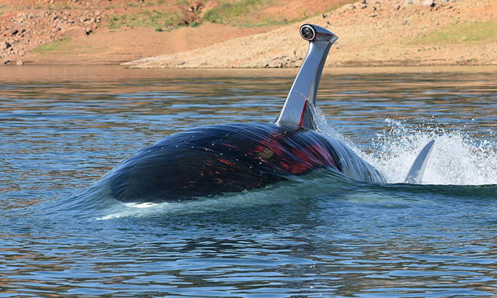 Cận cảnh 'tàu cá mập' giá gần 300.000 USD ở Mỹ 