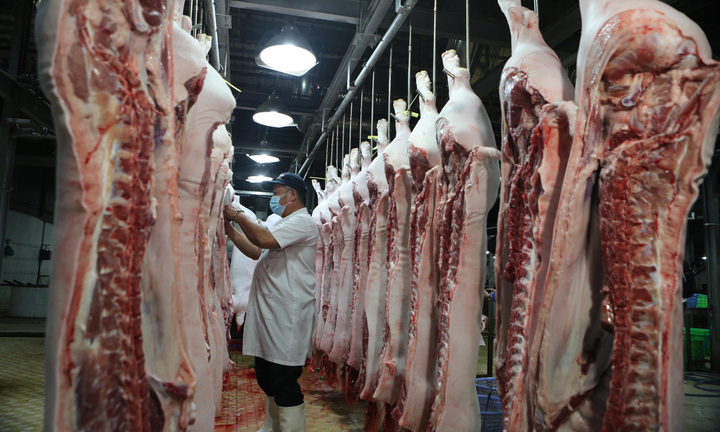 Đồ tể mất mạng khi lợn trong lò mổ bất ngờ tỉnh lại