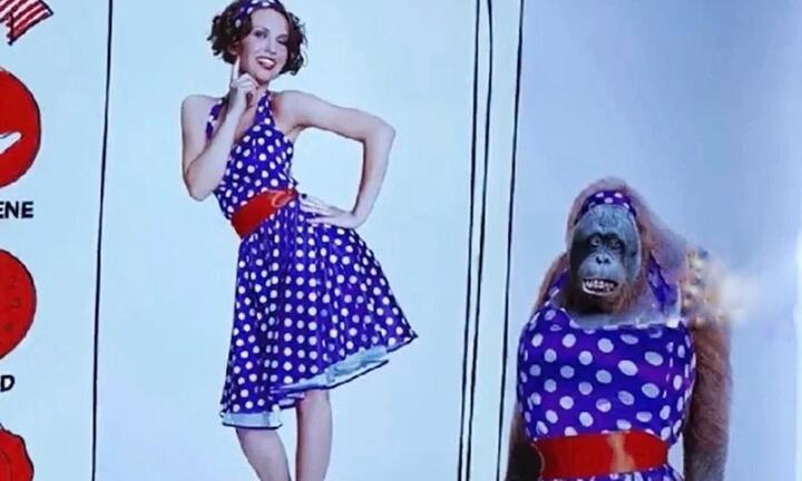 Quảng cáo so sánh phụ nữ với đười ươi gây phẫn nộ