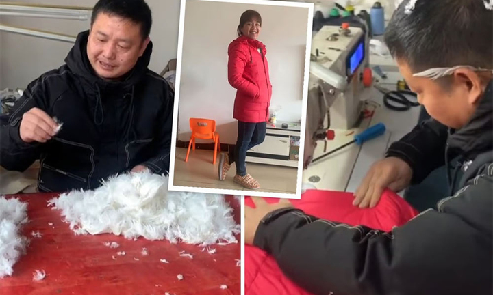 Người đàn ông nuôi cả đàn ngỗng chỉ để may áo khoác tặng vợ