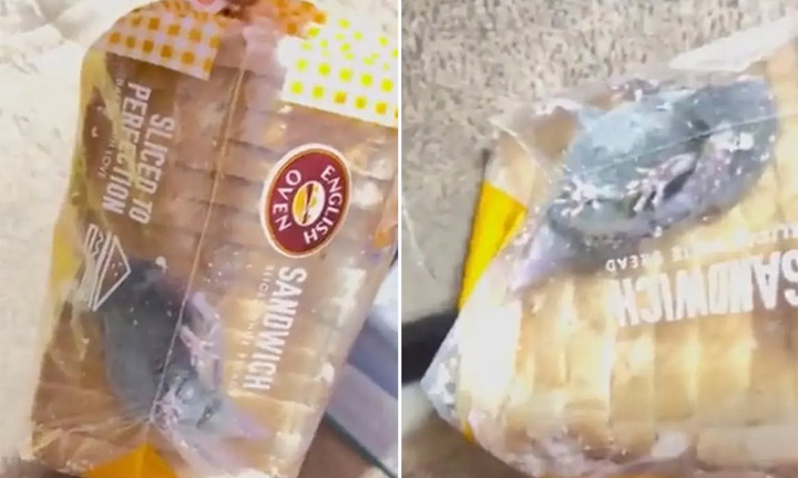 Mua bánh mỳ online, khách kinh hoàng nhìn thấy con chuột còn ngoe nguẩy