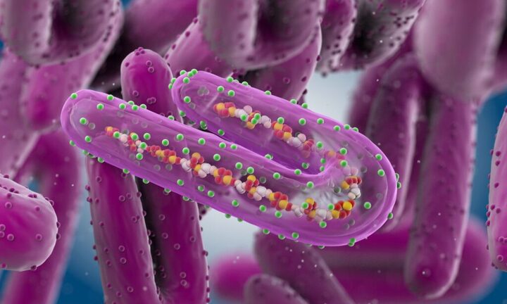 Virus Marburg và Ebola giống nhau không?