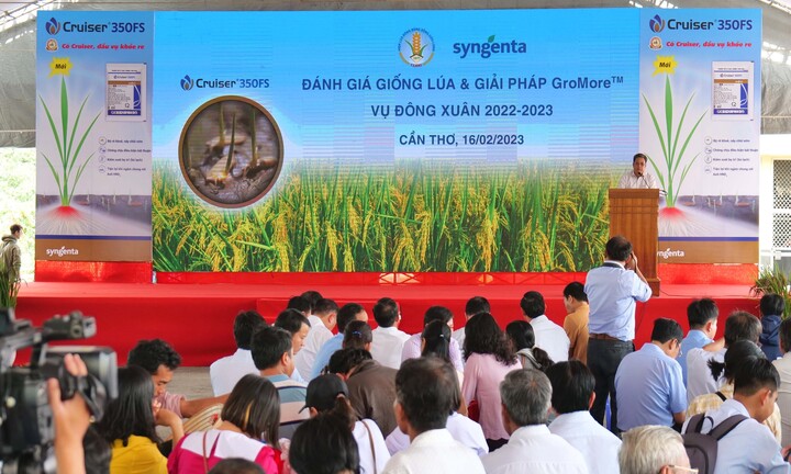 Incipio 200SC - Giải pháp đột phá tính kháng của sâu hại