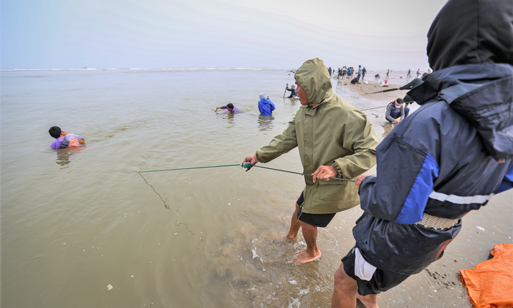 Ngư dân Hà Tĩnh buộc dây vào người, ngâm mình trong nước biển lạnh vớt sò lông