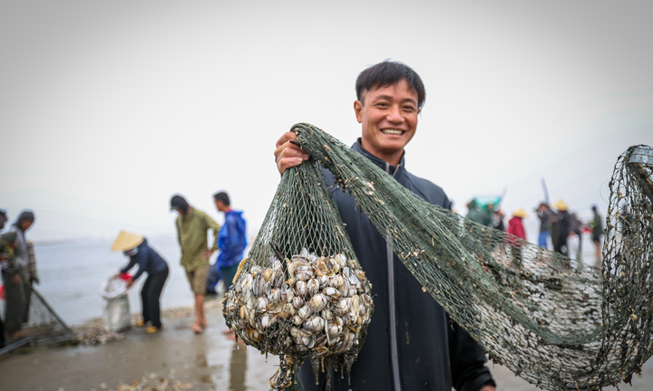 Ngư dân Hà Tĩnh ngâm mình dưới dòng nước lạnh vớt sò lông