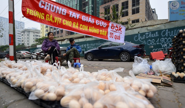 Cục trưởng Cục chăn nuôi: Giá trứng gà giảm nhưng chưa đến mức phải 'giải cứu'