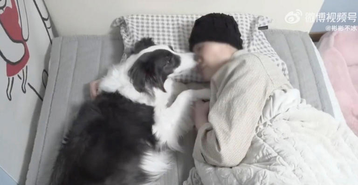 Cảnh chú chó âu yếm cô chủ bị ung thư khiến dân mạng rơi lệ