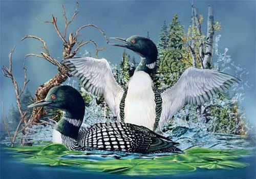 Người mắt kém chỉ thấy 8 con vịt, bạn thì sao?