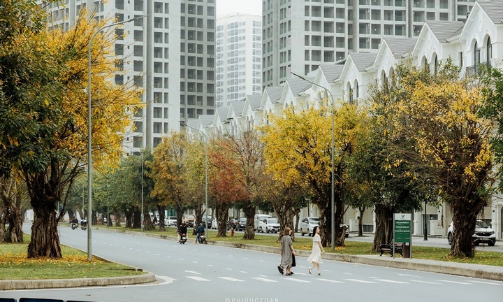 Ngắm khoảnh khắc Hà Nội cuối xuân đẹp tựa trời Âu