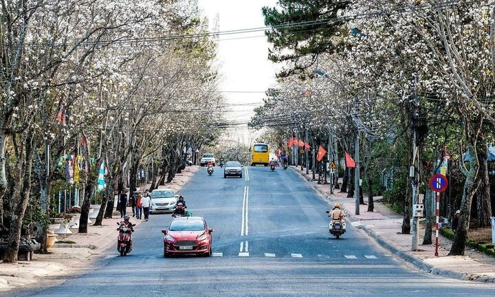 Du lịch Đà Lạt mùa nào đẹp nhất?