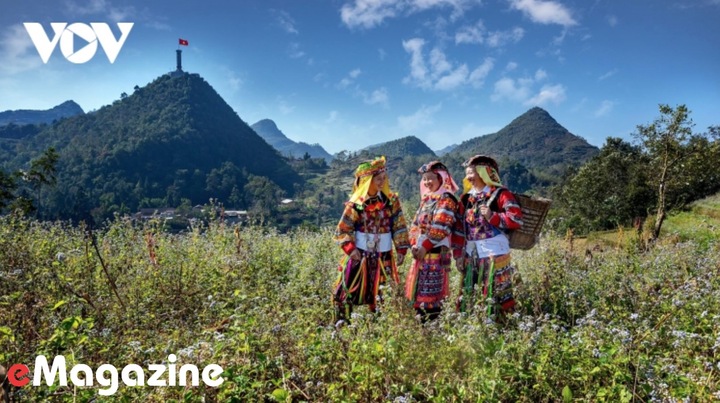 Tâm và Tầm - 'chìa khoá' kiến tạo văn hoá Việt Nam?