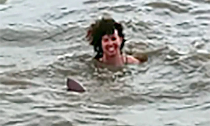 Suýt mất mạng vì bị cá heo cắn