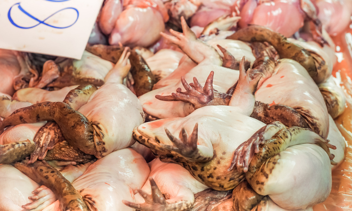 Vào nhà hàng chọn món, thực khách choáng váng khi thấy ếch 'cải tử hoàn sinh'