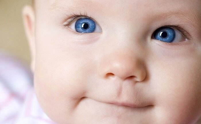 Đố bạn con người có mấy mắt?