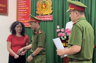 Khi các tiến sỹ, luật sư phạm luật