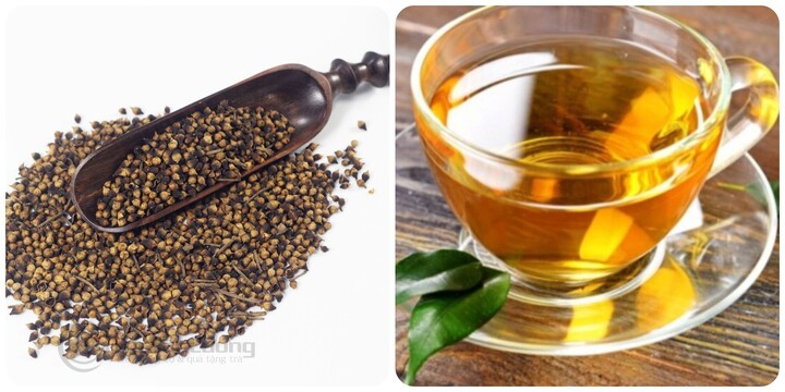 Uống nụ vối có tốt không?