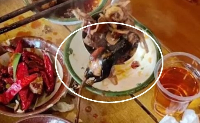 Ăn gần hết nồi lẩu phát hiện chuột chết bên trong, thực khách gọi cảnh sát