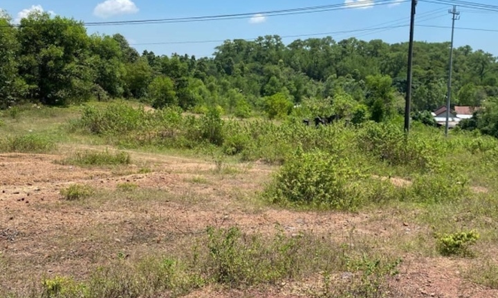 Bãi đỗ xe 'treo' hơn nửa thập kỷ sau khi san phẳng mộ vợ vua: Xử lý thế nào?