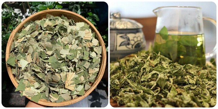 Những người không nên uống nước lá sen