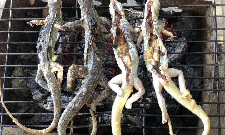 Đặc sản Bình Thuận được làm từ 'vua của sa mạc', nhìn thì sợ nhưng ăn là ghiền