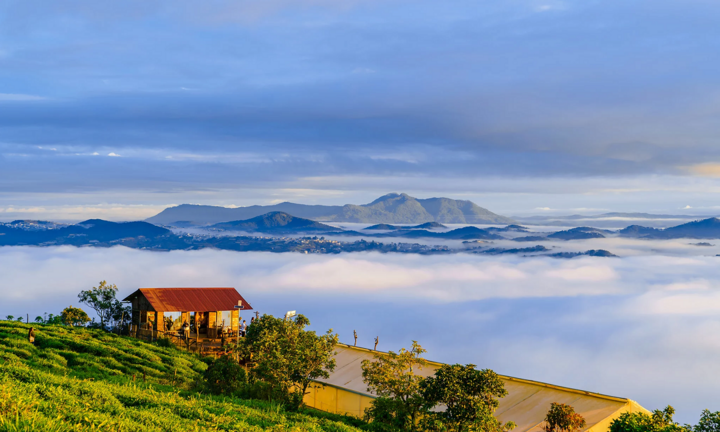 Kinh nghiệm đi Đà Lạt: 5 đồi săn mây lý tưởng nhất