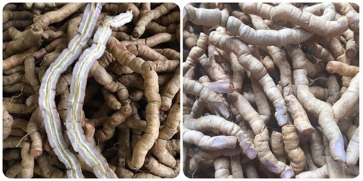 Những người không nên dùng ba kích