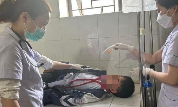 Hà Tĩnh: 11 học sinh nhập viện sau khi ăn phải quả ngô đồng