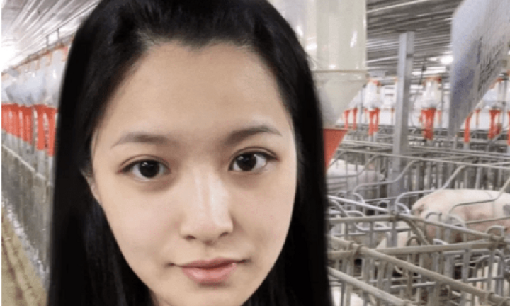 Tốt nghiệp đại học, nữ sinh về quê nuôi lợn thu 340 triệu đồng/năm