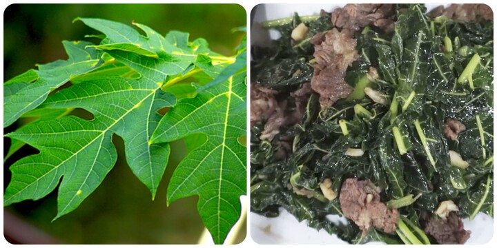 Lá đu đủ xào tỏi có tác dụng gì?