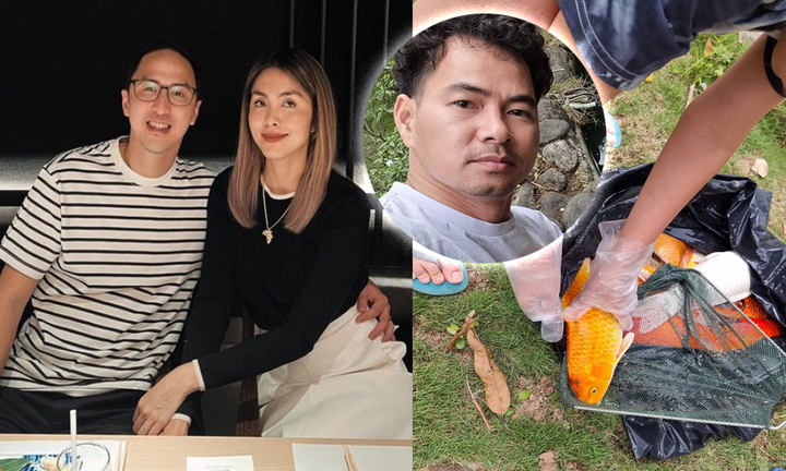 Sao Việt 20/3: Vợ chồng Hà Tăng trốn con hẹn hò, Xuân Bắc đau lòng với bể cá Koi