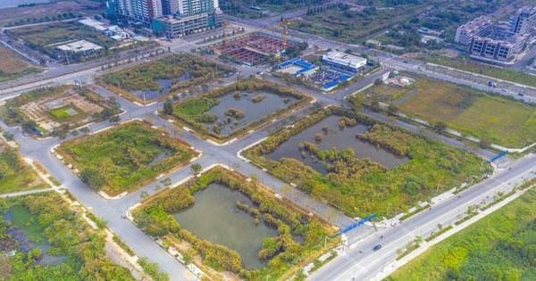 TP.HCM sắp đấu giá 3 lô đất ở Thủ Thiêm, giá khởi điểm trên 5.000 tỷ