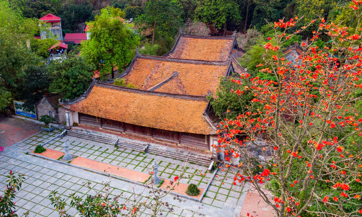 Ngôi chùa nghìn năm tuổi ở Hà Nội nên thơ với sắc đỏ hoa gạo