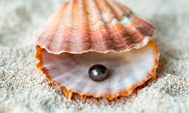 Mua vẹm đỏ về ăn, người đàn ông mừng chảy nước mắt khi nhặt được thứ này