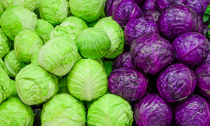 Vì sao bắp cải được coi là 'kho thuốc' của người nghèo?
