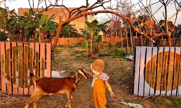 'Bỏ túi' địa chỉ những khu vui chơi trẻ em ở Đà Nẵng hot nhất