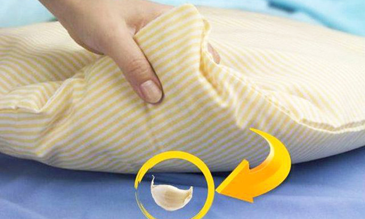 Để tỏi ở dưới gối ngủ có tác dụng gì? 