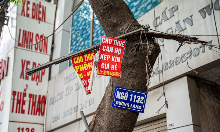 Đinh nhọn, dây đèn, biển quảng cáo 'bức tử' cây xanh Hà Nội
