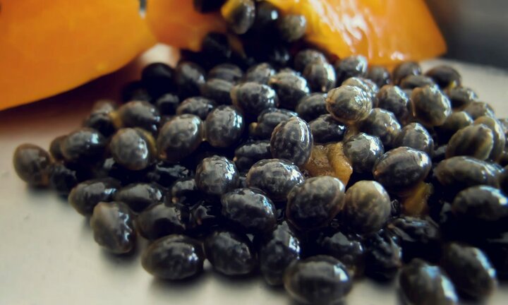 Ăn đu đủ bỏ hạt, bạn đã bỏ lỡ những công dụng tuyệt vời này