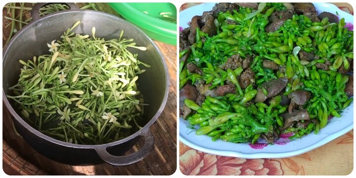 Hoa đu đủ đực xào có tác dụng gì?