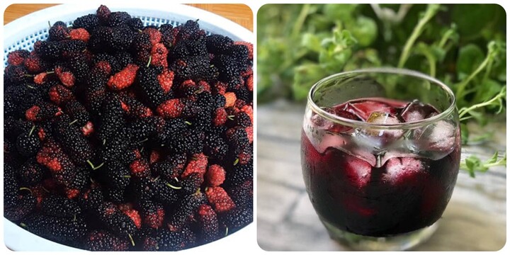 4 lợi ích tuyệt vời của nước quả dâu tằm với sức khỏe