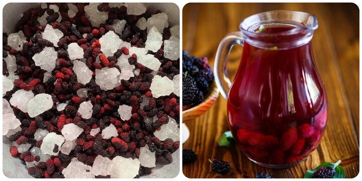 Cách ngâm dâu tằm để được lâu