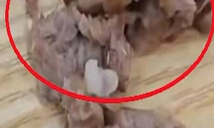 Đang ăn phát hiện đầy giòi trong sườn, cô gái kiện luôn nhà hàng 